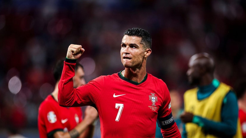 定性为他们 定性为他们